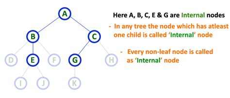 Data Structures Tutorials Tree Terminology With Examples