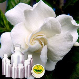 Gardenia Perfume Oil Online,Buy Gardenia Perfume Oil,Manufacturer ...