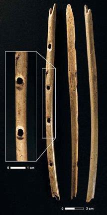 THE ASTUTE BLOGGERS: OLDEST MUSICAL INSTRUMENTS EVER FOUND: 35,000 YEAR ...