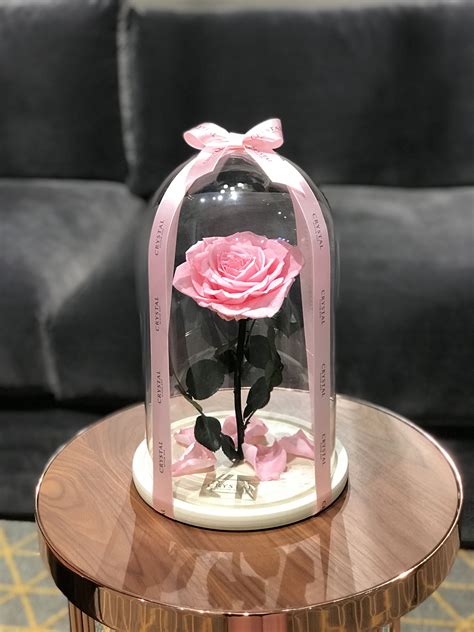 Pink Rose In Glass Dome Enchanted Rose Forever Rose Beauty And A Beast