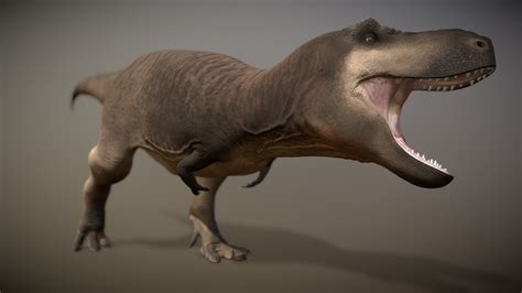 Tyrannosaurus Rex 3d Model By Jay Qui Jayqui D44914f Sketchfab