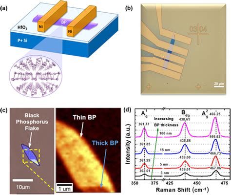 Schematic Of The Bp Fet Utilizing A Hfo2 High K Gate Dielectric And