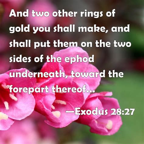 Exodus And Two Other Rings Of Gold You Shall Make And Shall Put