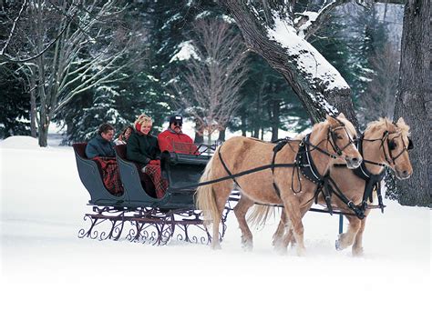 Winter Carriage/Sleigh Rides - The Greenbrier Resort