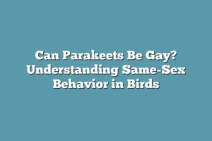 Can Parakeets Be Gay Understanding Same Sex Behavior In Birds Birdpursuits