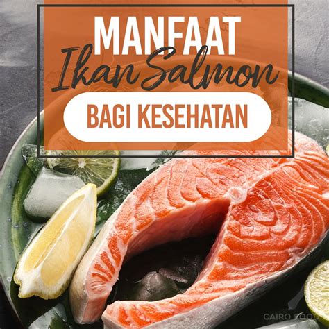 Manfaat Ikan Salmon Untuk Kesehatan Cairo Food