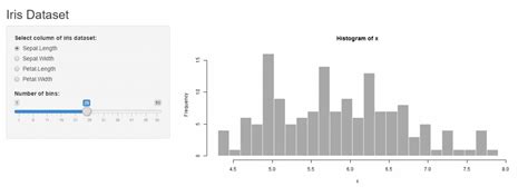 Shiny Data Visualization Using Shiny App In R