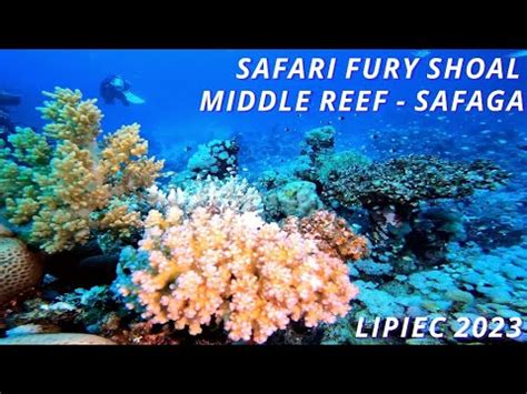 Safari Fury Shoal Safaga Middle Reef Lipiec Youtube