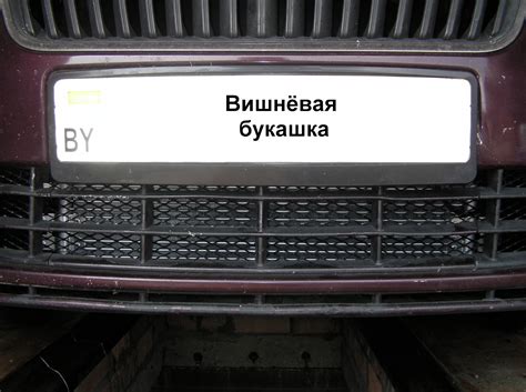 Установил защитную сетку в бампер. — Skoda Fabia Mk2, 1,6 л, 2011 года ...