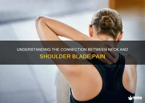 Understanding The Connection Between Neck And Shoulder Blade Pain Medshun