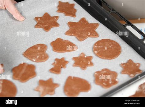 Transfer Cookies Onto Baking Tray Making Gingerbread Cookies Series