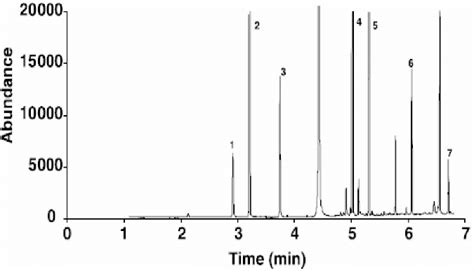 Hs Spme Gc Ms Chromatogram In Sim Mode For The Ethyl Derivative Of A Download Scientific