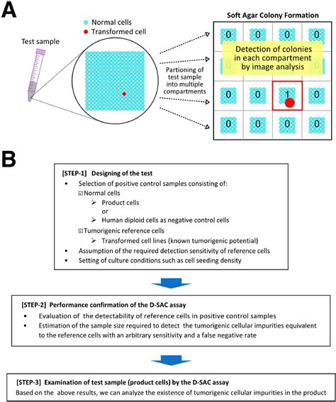 Protocol Improvement And Multisite Validation Of A Digital Soft Agar