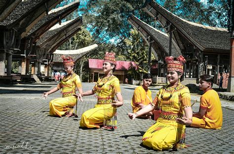 13 Pakaian Adat Suku Toraja DIY