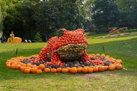 Visit The World S Largest Pumpkin Festival From Munich