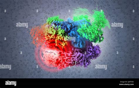 Micrografia Crioelettronica Immagini E Fotografie Stock Ad Alta