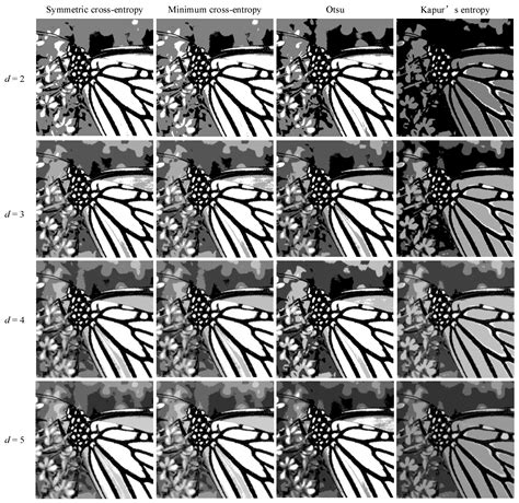 Entropy Free Full Text Multi Level Thresholding Image Segmentation