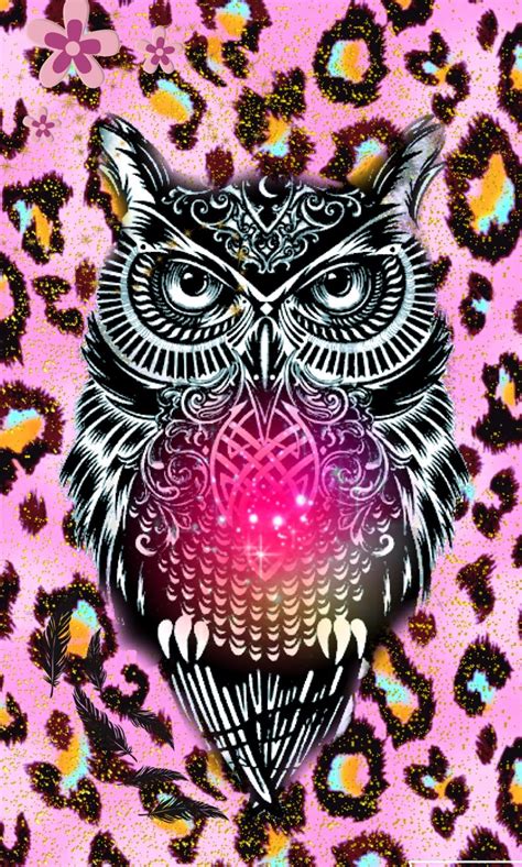 Cute Owl Wallpapers (65+ images)