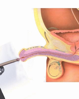 Fucking Machines Holes Gifs Animed Sex Gifs Porn Xxx Gifs Pictoa