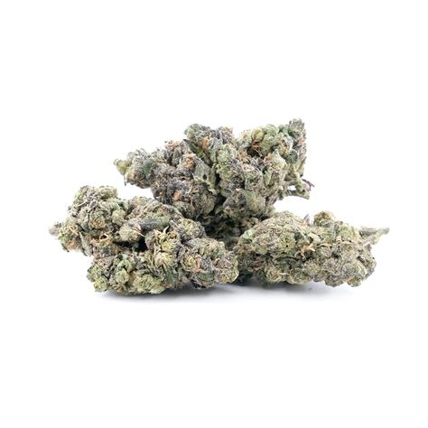 Buy Galatic Runtz Indica Hybrid By Gas Demon TGA