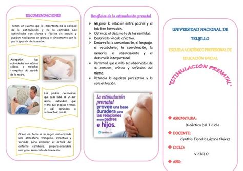 Tript Estimulacion Pre Natal