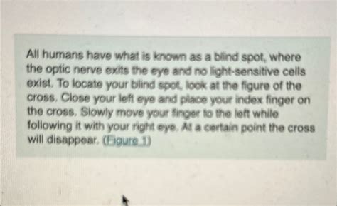 Solved All humans have what is known as a blind spot, where | Chegg.com