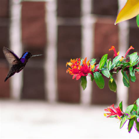 7 Curiosidades Sobre O Beija Flor