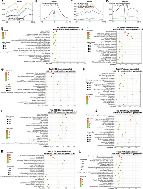 Figure From Integrated Multi Omics Approach Revealed Cellular