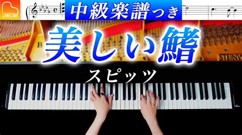 「美しい鰭」ピアノ中級アレンジ《弾きやすいand見やすい楽譜つき》スピッツ 名探偵コナン黒鉄の魚影 ピアノ Canacana