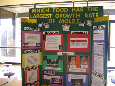 Moldy Bread Science Project