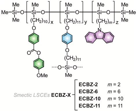 Chemical Structure Of The Smectic Liquid Single Crystal Elastomers