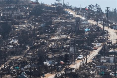 Más de 4 mil hectáreas de bosque nativo fueron consumidas por las