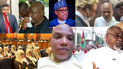 Just In Latest News On Nnamdi Kanu S Release As Mike Ozekhome