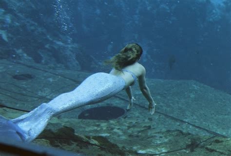 🔥 Download Rmation About Mermaids Or Even Videos Related To Mermaid By