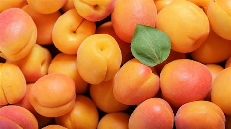 The Difference Between Peaches And Apricots