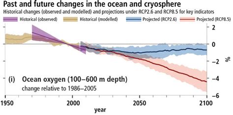 Ocean Deoxygenation And The Alarming Consequences Cmems