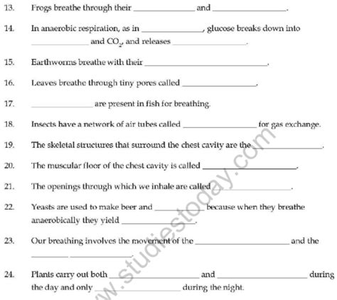 Class Respiration In Organisms Important Questions Vbqs