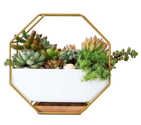 Ceramic Wall Hanging Hexagonal Flowerpot Plant Pots Ceramic Metal