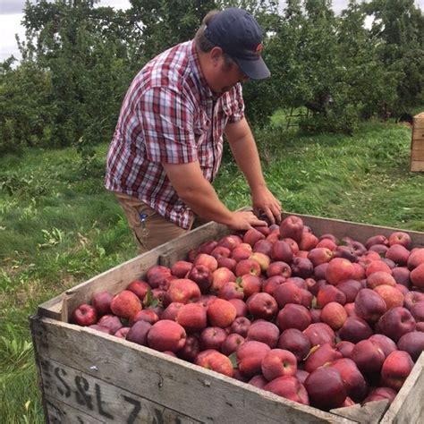 Is an apple an apple? A farmer tells all.