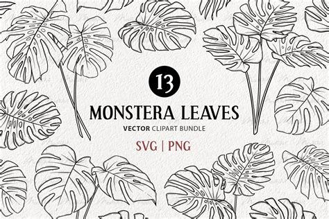 Monstera Clipart Set Tropical Leaves Svg Art Design Cuts