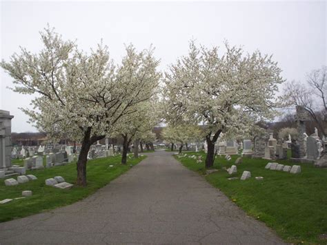 Holy Sepulchre Cemetery – Catholic Cemeteries