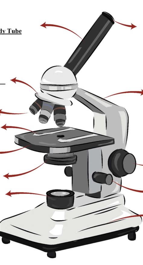 Biology Unit 1 Diagram Quizlet