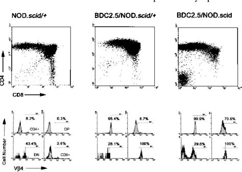 Figure 1 From Beta Cell Apoptosis In T Cell Mediated Autoimmune