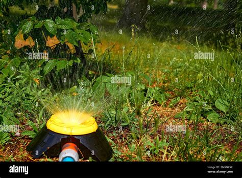 Irrigation System Sprinkler Watering Flowers On A Hot Day In A City Park Stock Photo Alamy