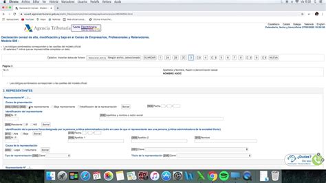 Guía completa Cómo rellenar el modelo 036 para solicitar NIF