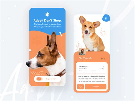 Pets Adoption App By Mahmudur Rahman For Isavelev On Dribbble