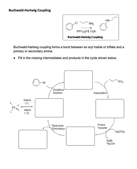 Solved Buchwald Hartwig Coupling Buchwald Hartwig Coupling Chegg