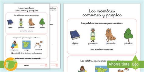 Ficha De Nombres Propios Y Comunes 2 Primaria Teacher Made