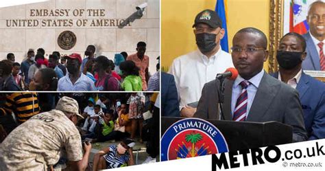 Shameless Randy Monkeys Have Sex With Each Other On Tourist S Shoulder And His Friends Think It