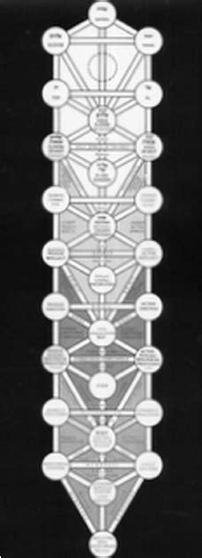 The Tree Of Life Jacobs Ladder Download Scientific Diagram